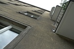 DSC_3294_thumb.jpg
